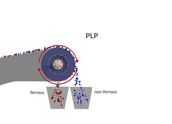 PLP Model